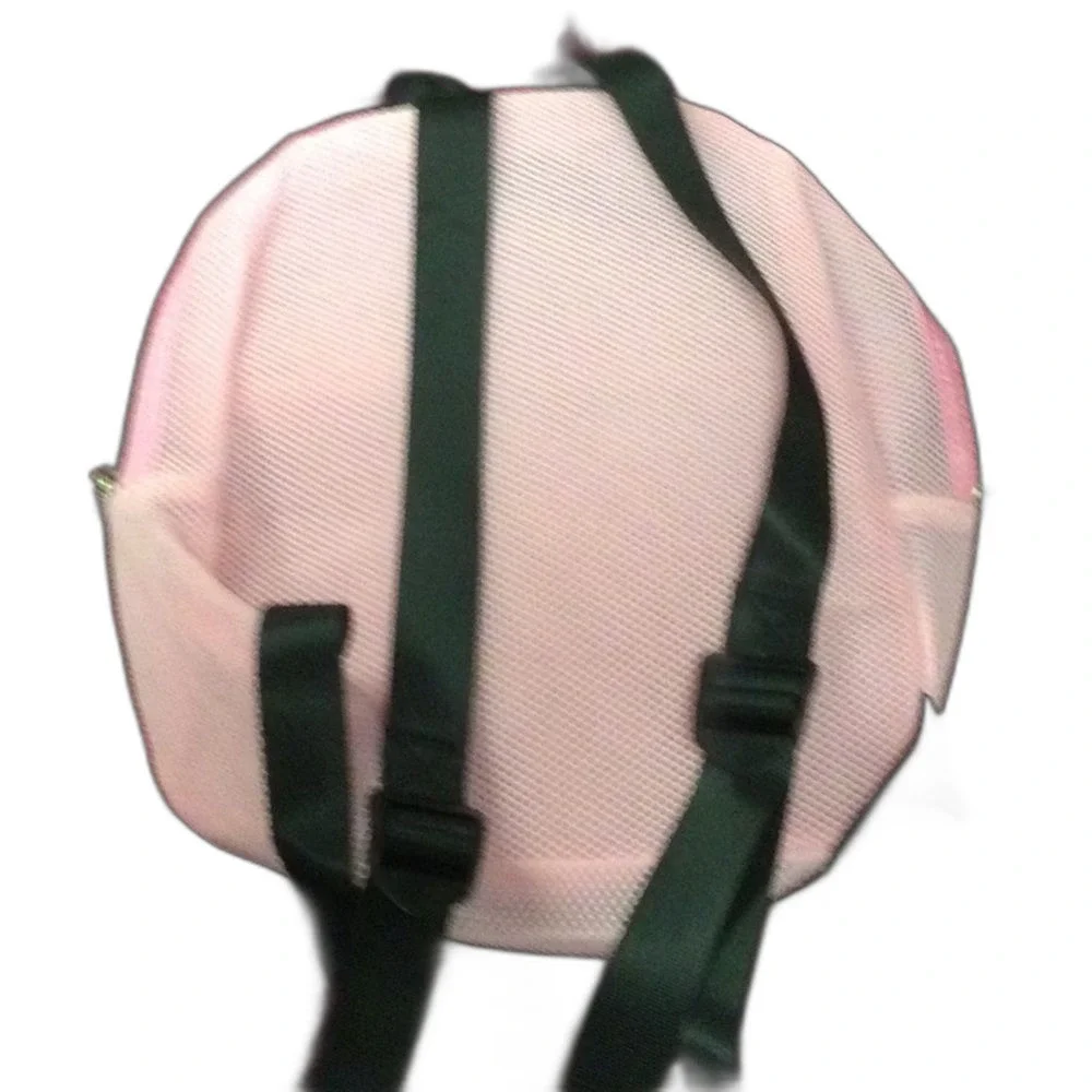 GBG Pink Small Backpack